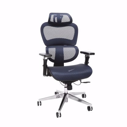 Picture of Ergo Mesh Chair with Headrest BLUE