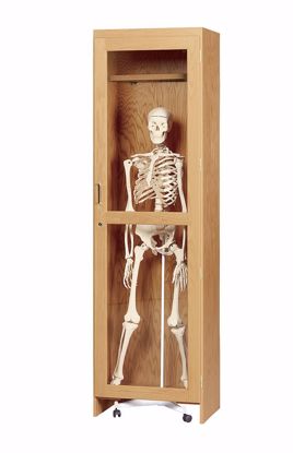 Picture of SKELETON CABINET FOR ROLL IN MODEL