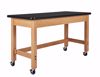 Picture of TABLE, PLAIN, PLASTIC TOP, 24X54