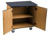 Picture of NPS® Mobile Science Cabinet With HPL Top, Black Top & Light Oak Frame