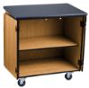 Picture of NPS® Mobile Science Cabinet With HPL Top, Black Top & Light Oak Frame