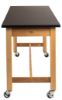 Picture of NPS® Wood Science Lab Table, 24 x 54 x 30, Chemical Resistant Top, Casters