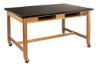 Picture of NPS® Wood Science Lab Table, 42 x 60 x 30, Chemical Resistant Top, Book Compartments and Casters