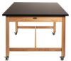 Picture of NPS® Wood Science Lab Table, 42 x 60 x 30, Chemical Resistant Top, Book Compartments and Casters