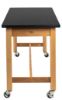 Picture of NPS® Wood Science Lab Table, 24 x 48 x 36, HPL Top, Casters