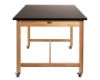 Picture of NPS® Wood Science Lab Table, 42 x 60 x 36, Chemical Resistant Top, Book Compartments and Casters