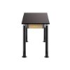 Picture of NPS® Signature Science Lab Table, Black, 24 x 48, Phenolic Top,