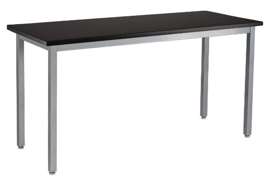 Picture of NPS® Steel Fixed Height Science Lab Table, 24 X 42 X 30, Chemical Resistant Top, Grey