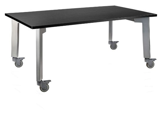 Picture of NPS®  Titan Table, 30" x 54" x 30", Chem-Res Top