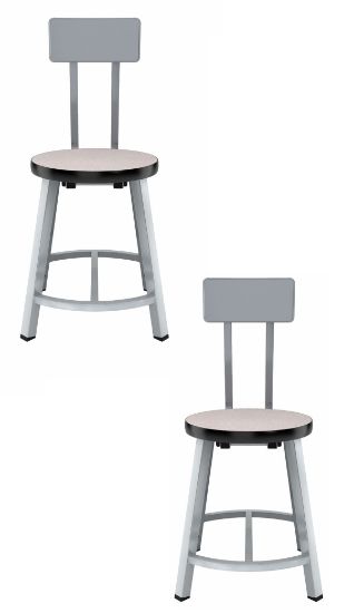 Picture of (2 Pack) NPS®   18" Titan Stool MDF Protect Edge Seat with Backrest, Grey Frame