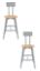 Picture of (2 Pack) NPS®   18-26" Height Adjustable Titan Stool with Backrest, Solid Wood Seat, Grey Frame