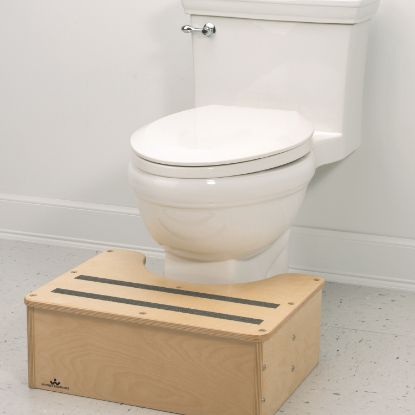 Picture of Potty Step