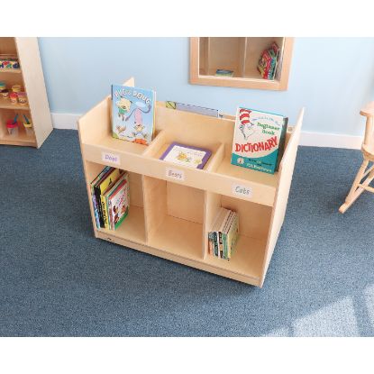Picture of Mobile Library Book Cabinet